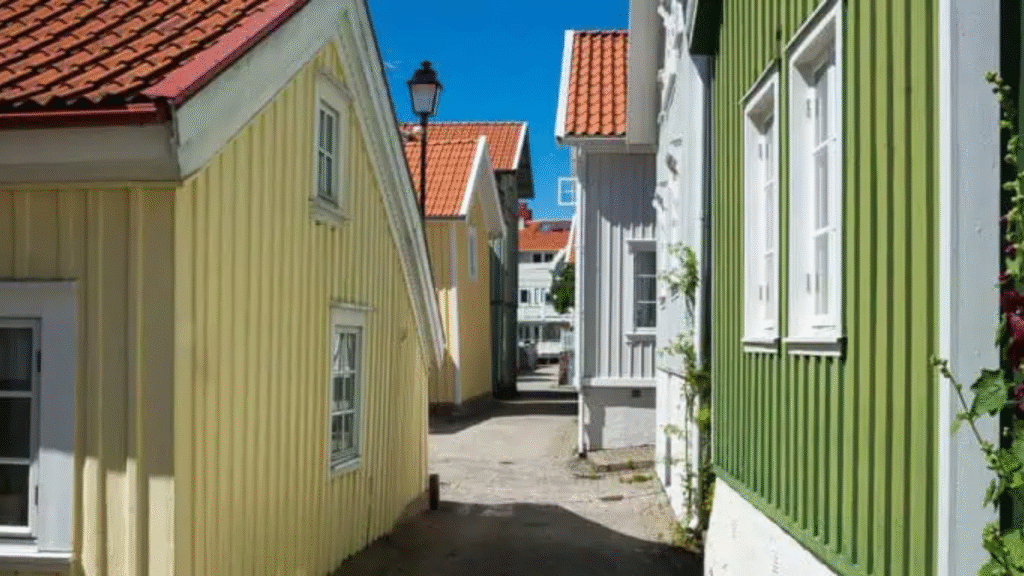 rotavdrag fasad enköping